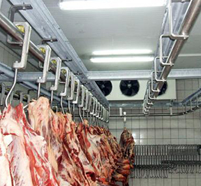 肉类速冻冷库 肉类速冻冷库
